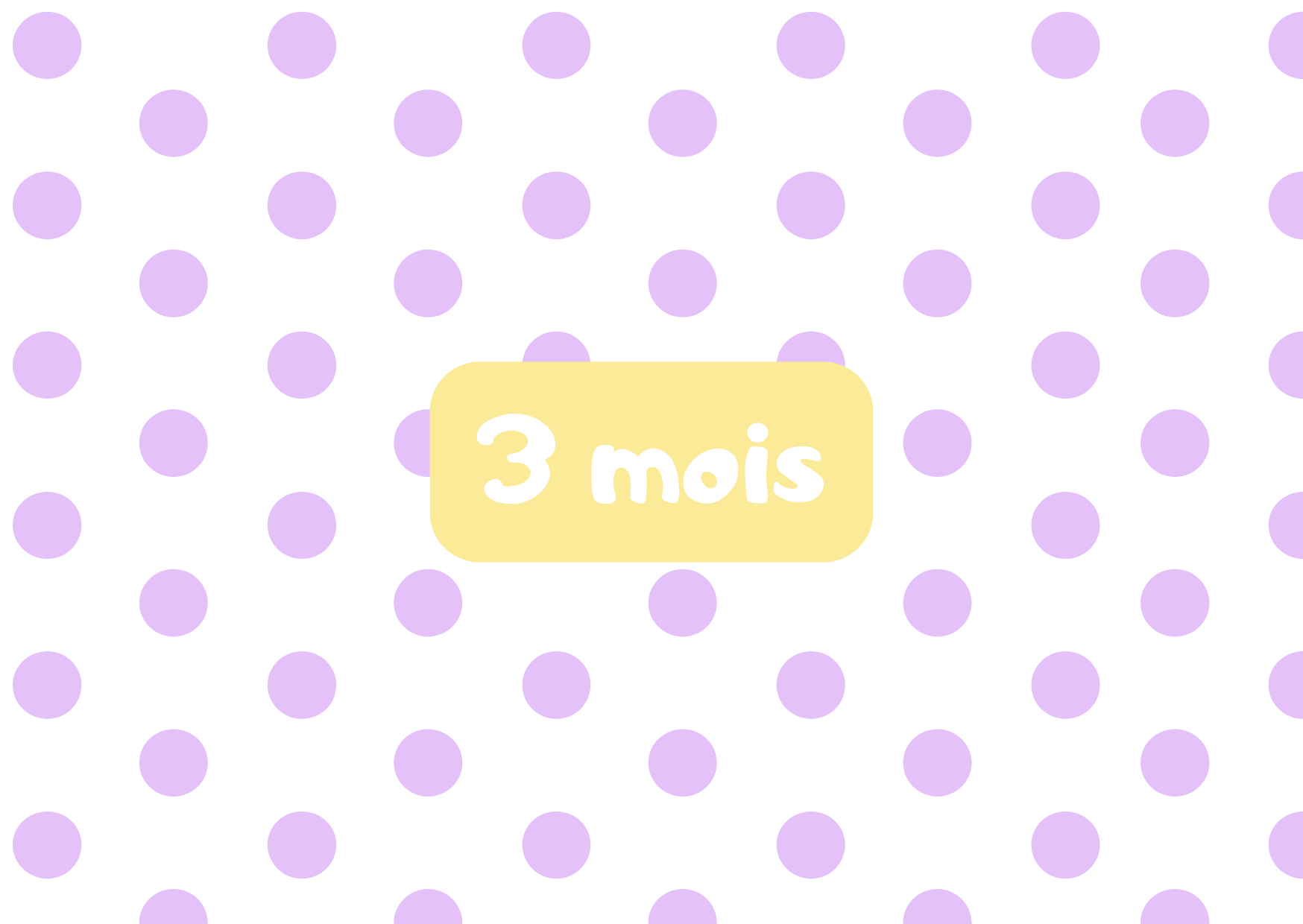 3 mois