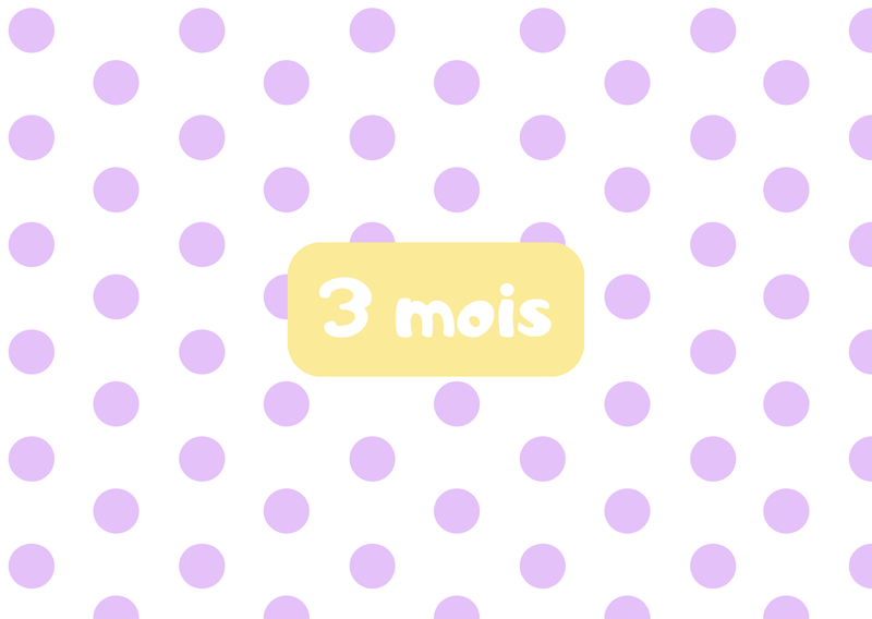 3 mois