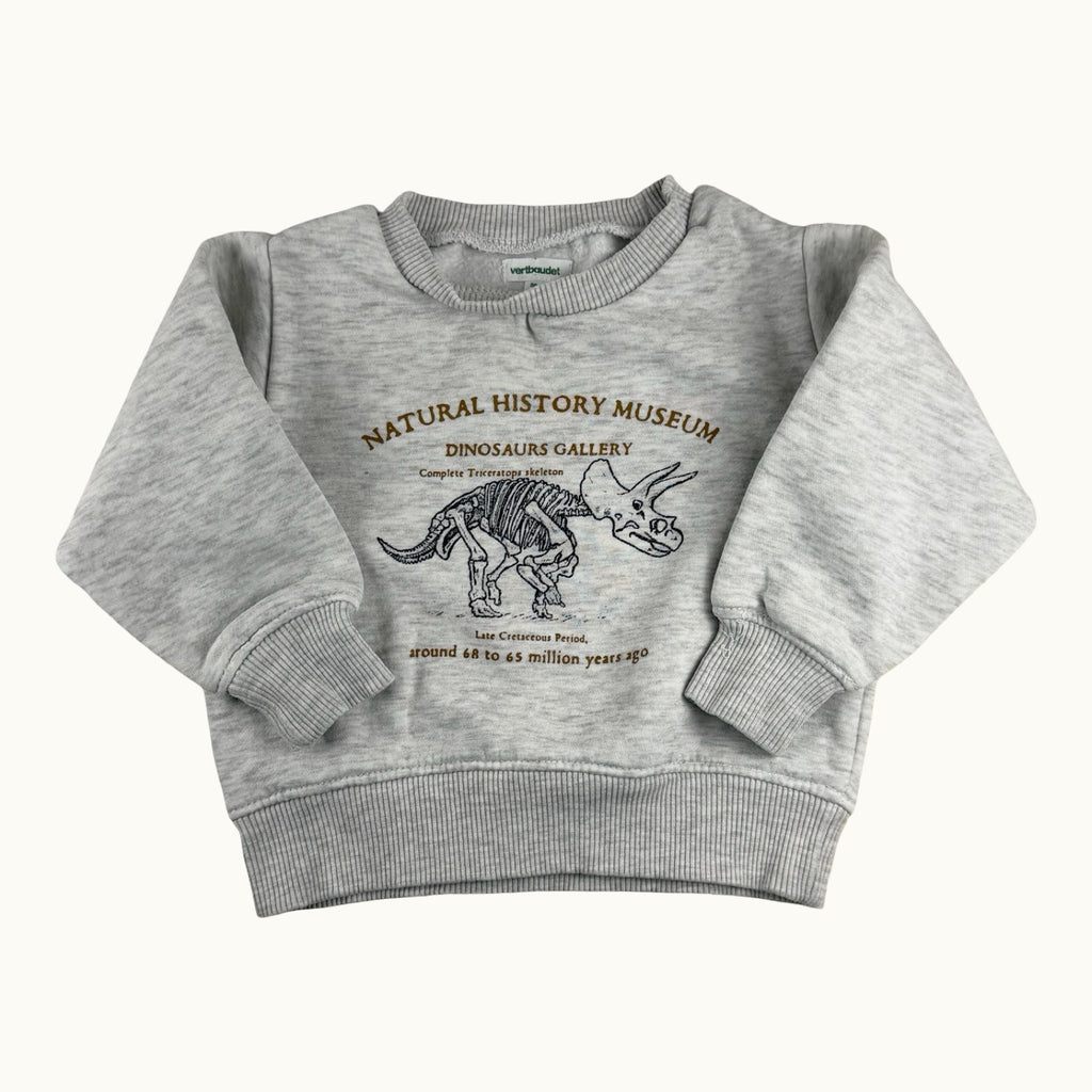 Pull dinosaure Vertbaudet - 24 mois