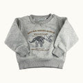 Pull dinosaure Vertbaudet - 24 mois