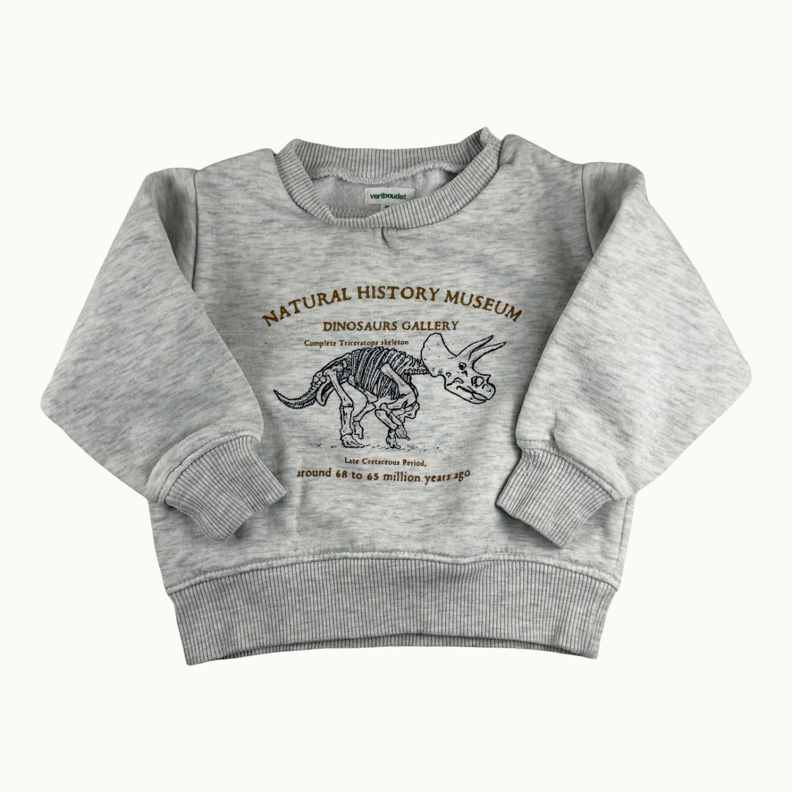 Pull dinosaure Vertbaudet - 24 mois