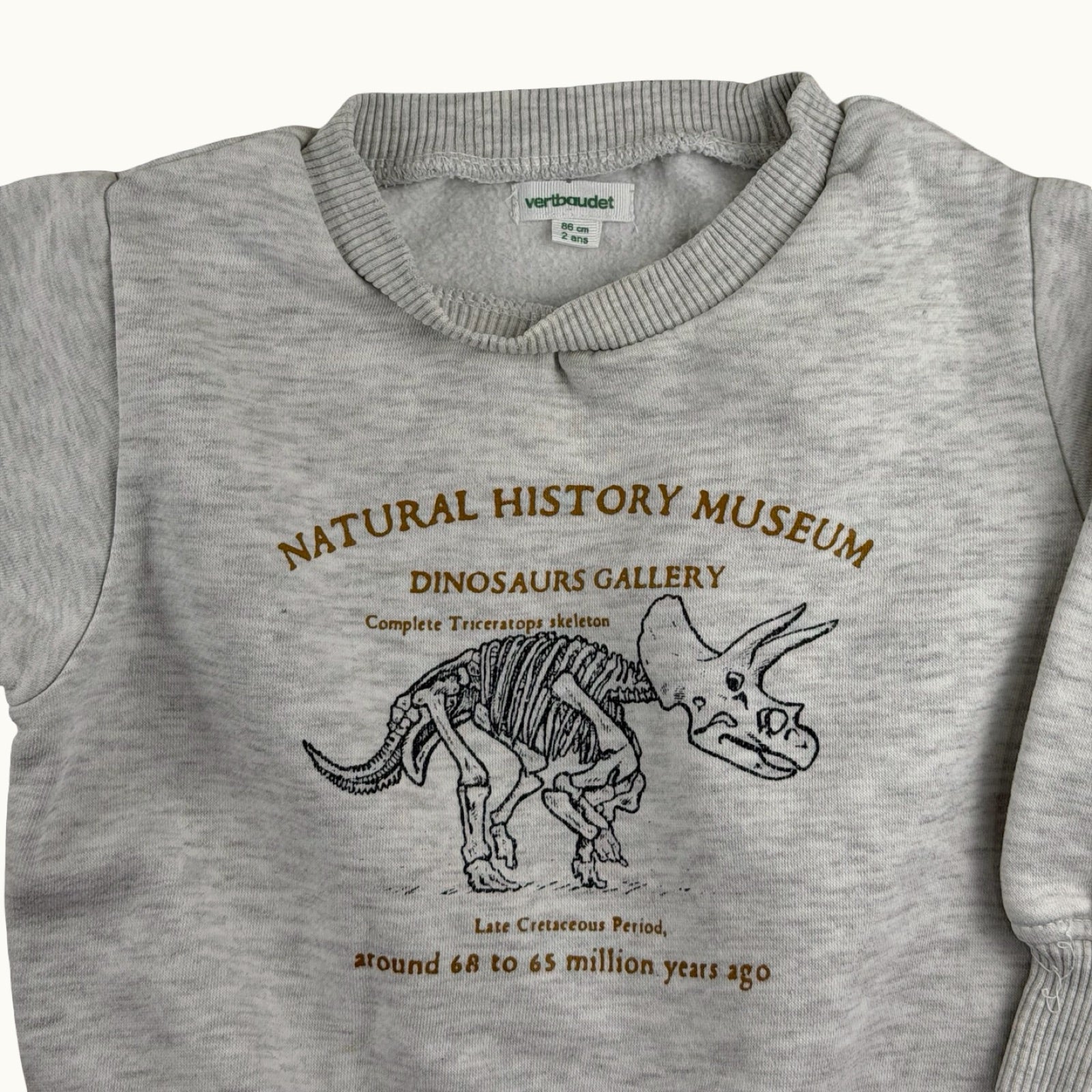 Pull dinosaure Vertbaudet - 24 mois