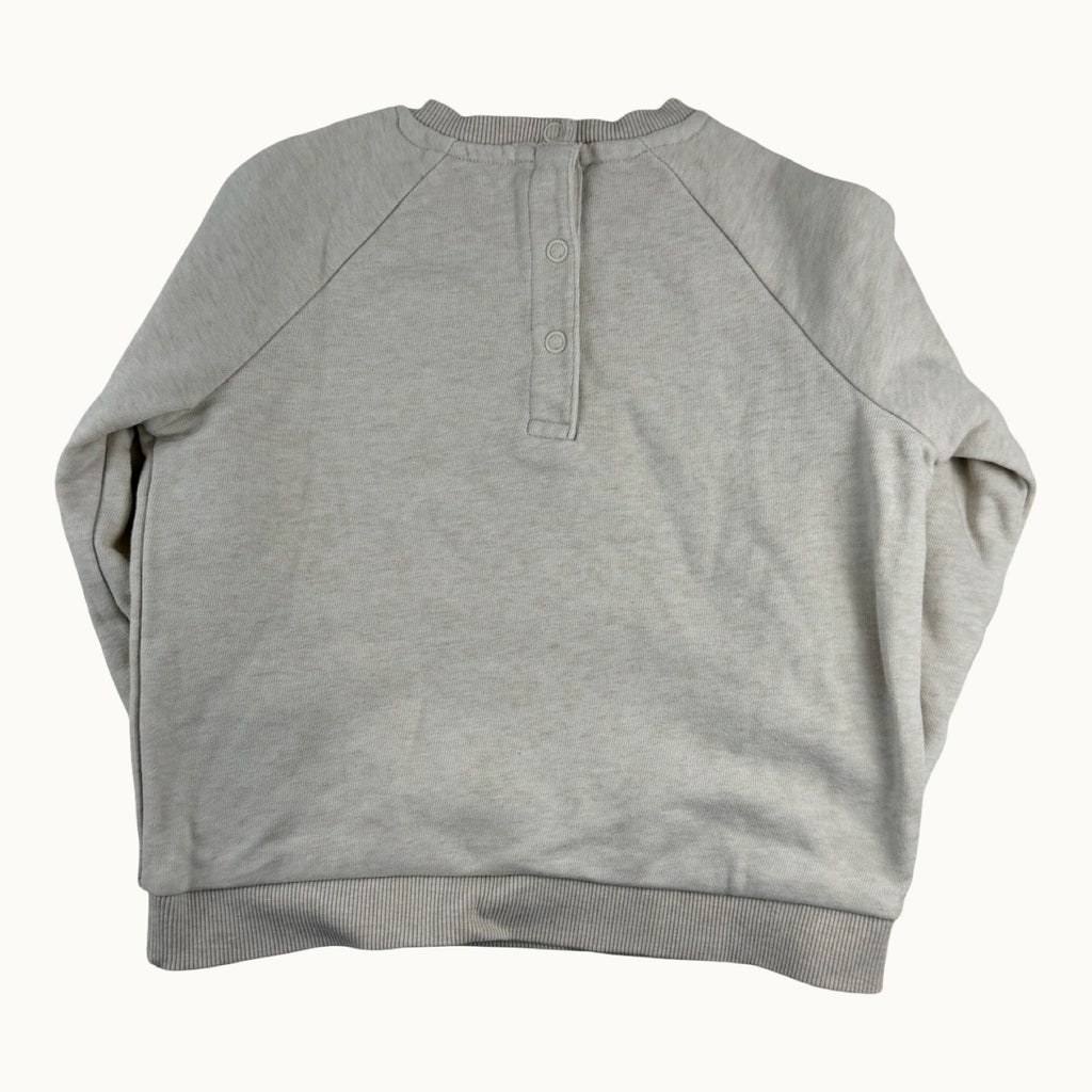 Pull "wild adventure" - 24 mois