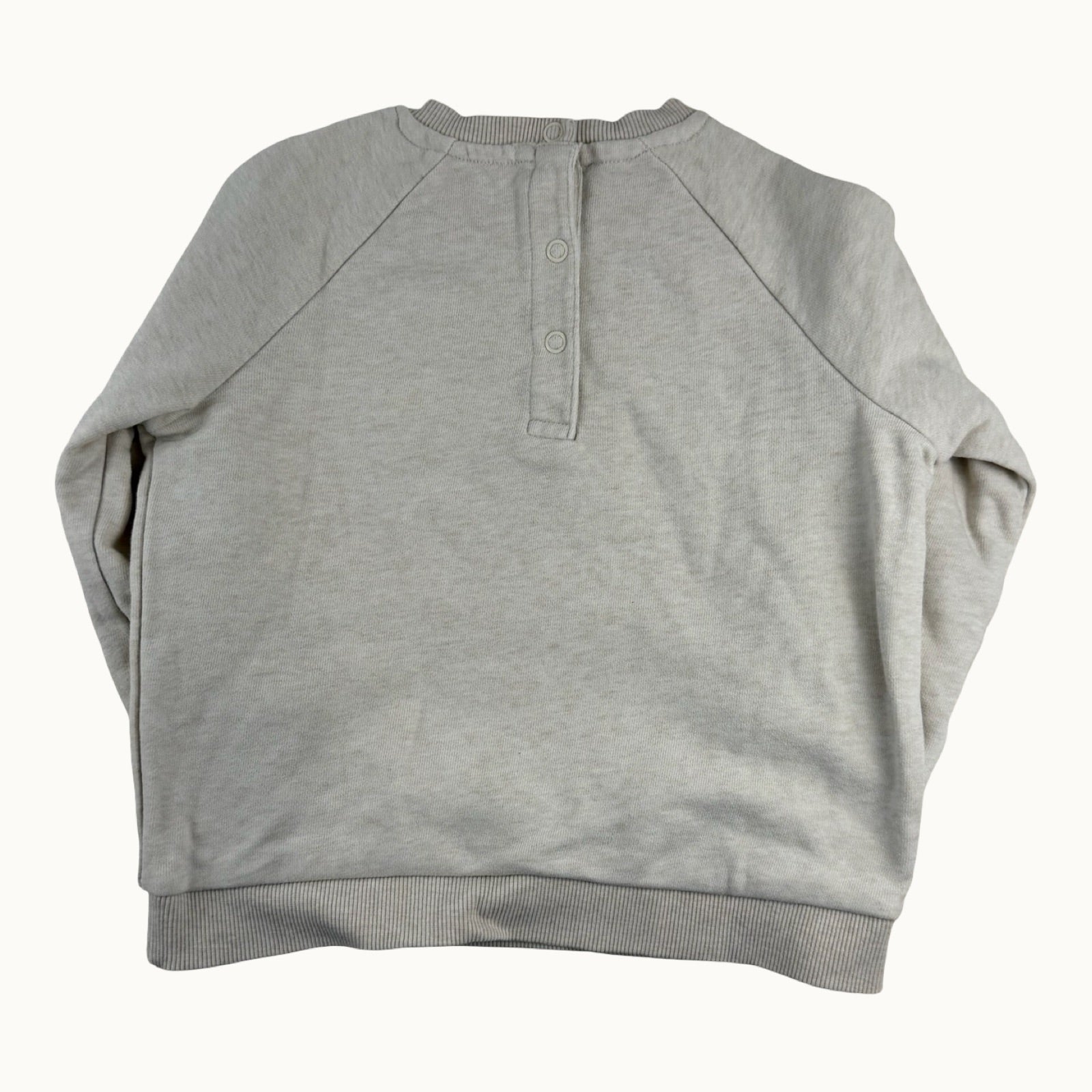 Pull "wild adventure" - 24 mois