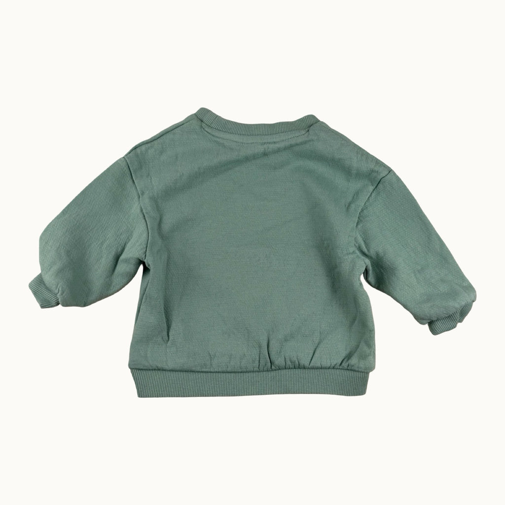 Sweat motif dinosaure - 9 mois