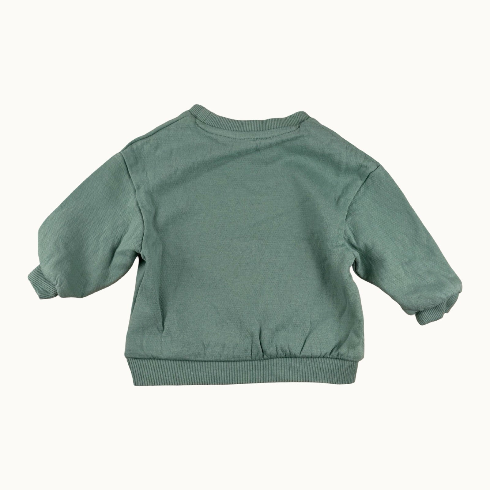 Sweat motif dinosaure - 9 mois