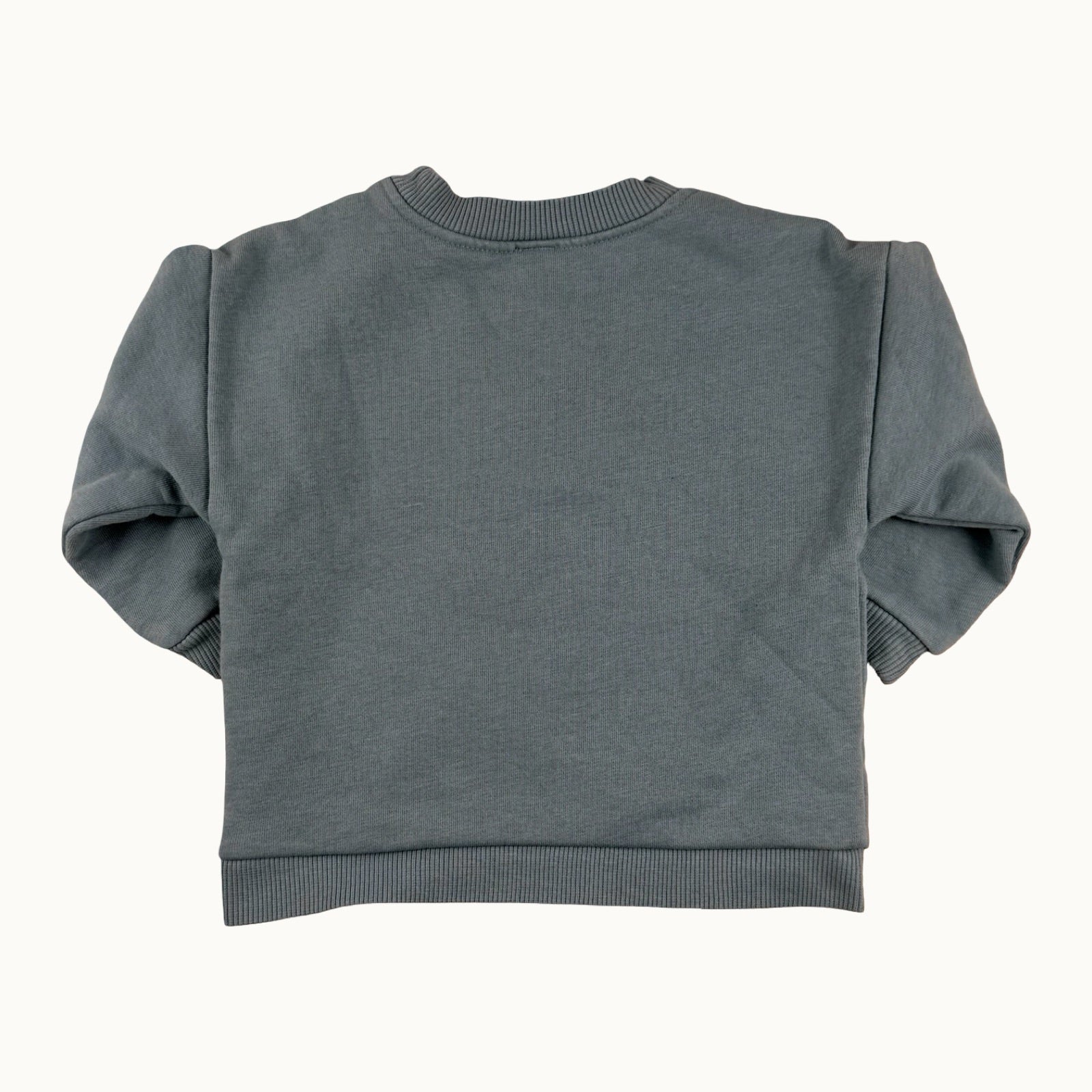 Pull "mini skateur" - 9 mois