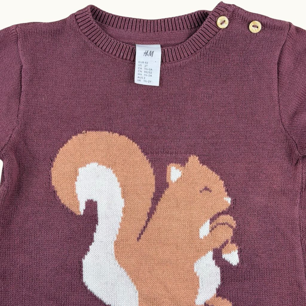 Pull motif écureuil H&M - 24 mois